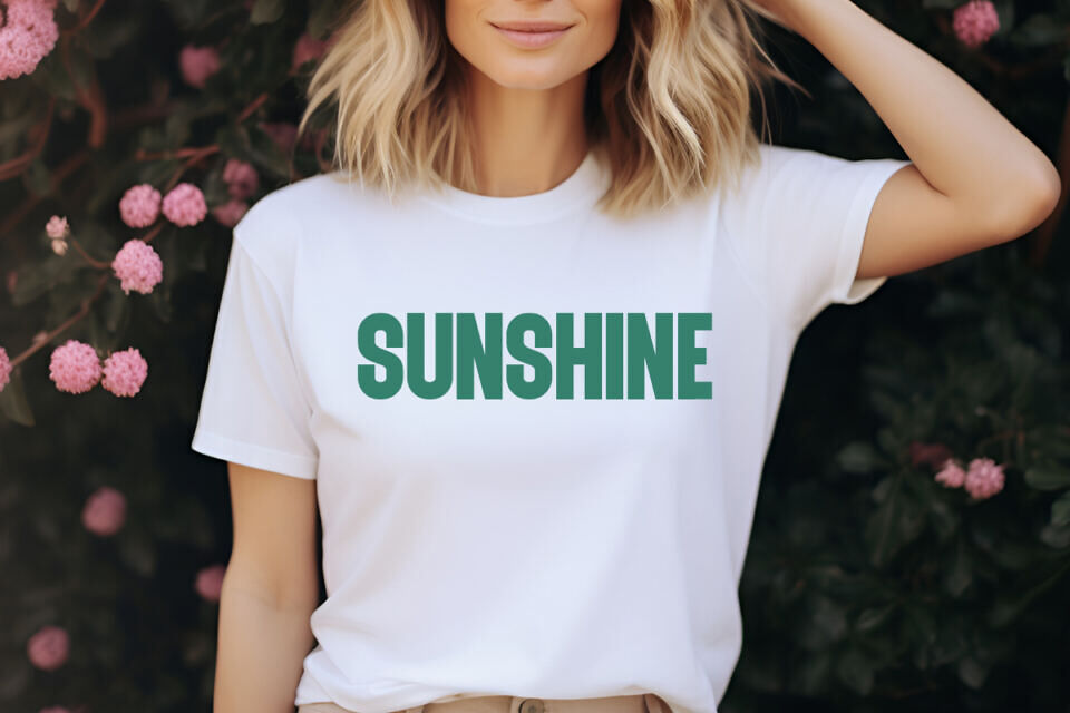 Blush Font