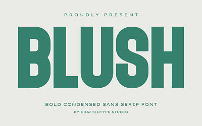 Blush Font