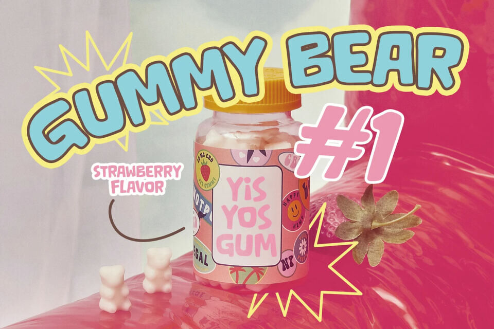 Bouncy Bites Font