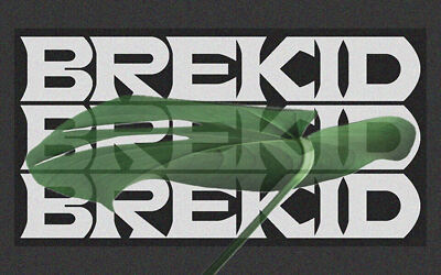 Brekid Font
