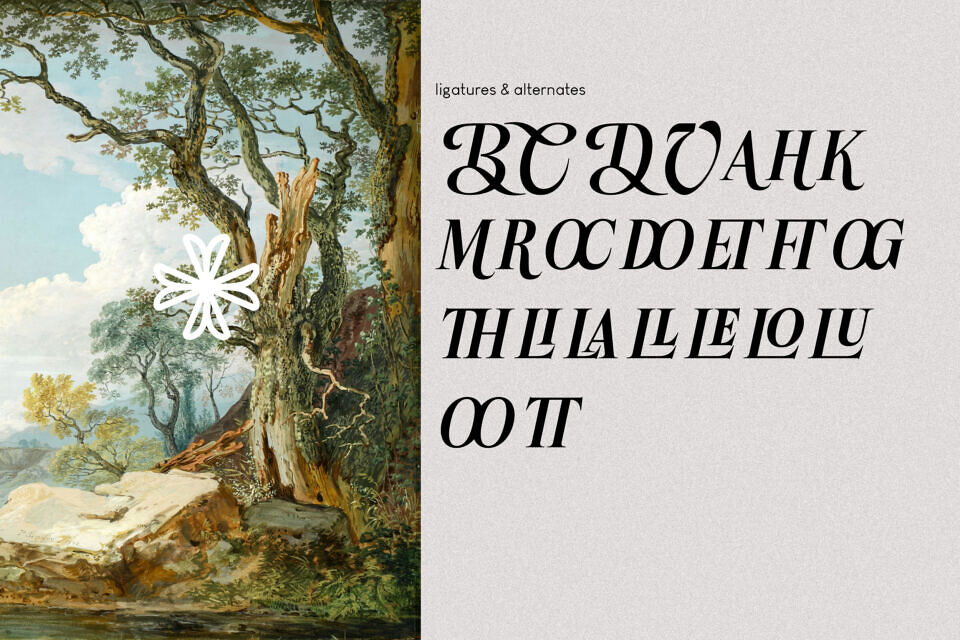Casa Leru Font