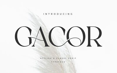 Gacor Font