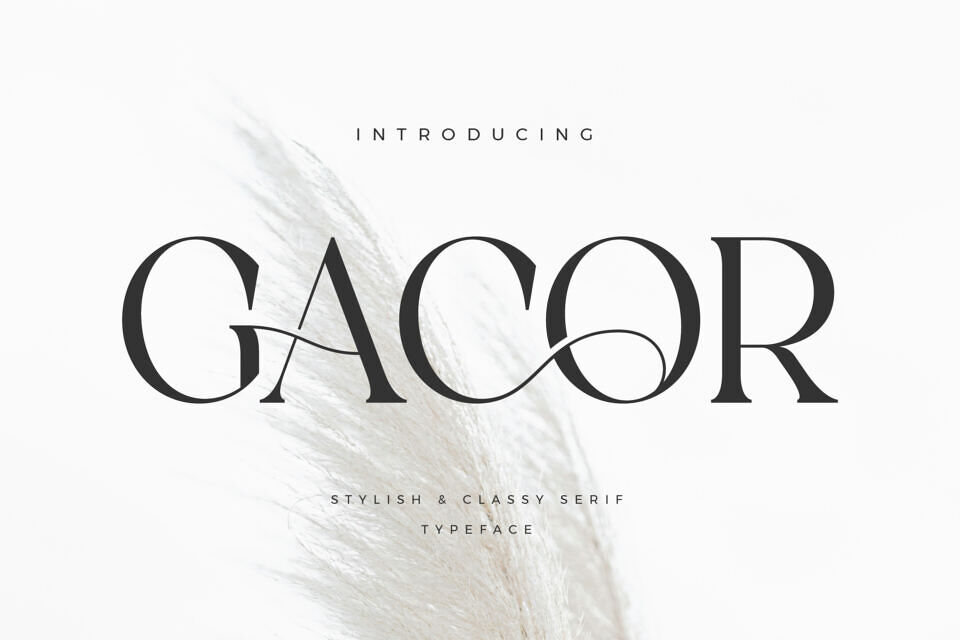 Gacor Font