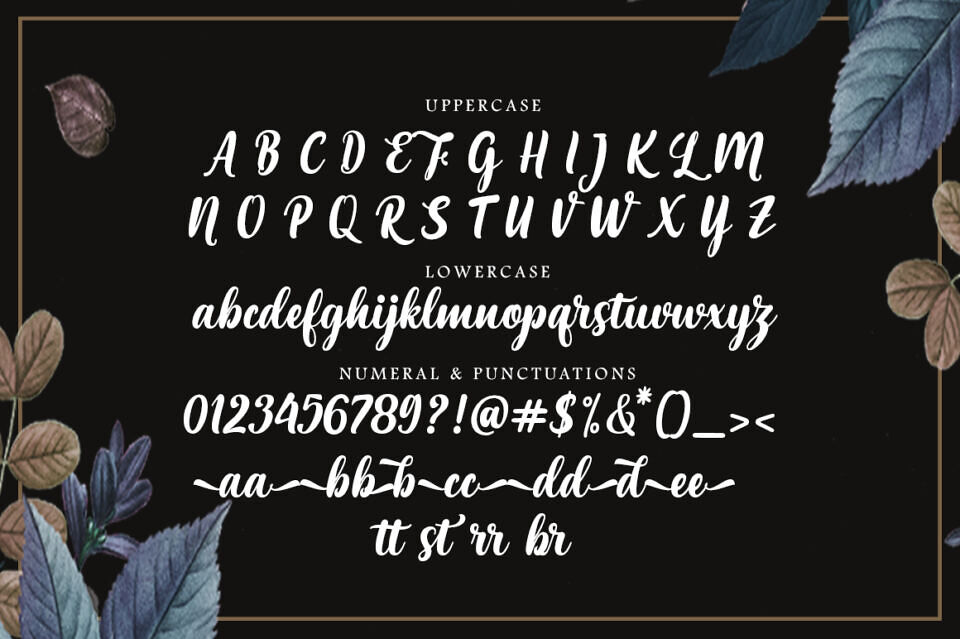 Maria Aishane Script Font