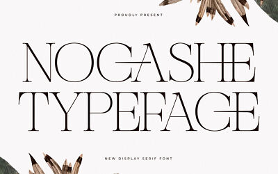 Nocashe Font
