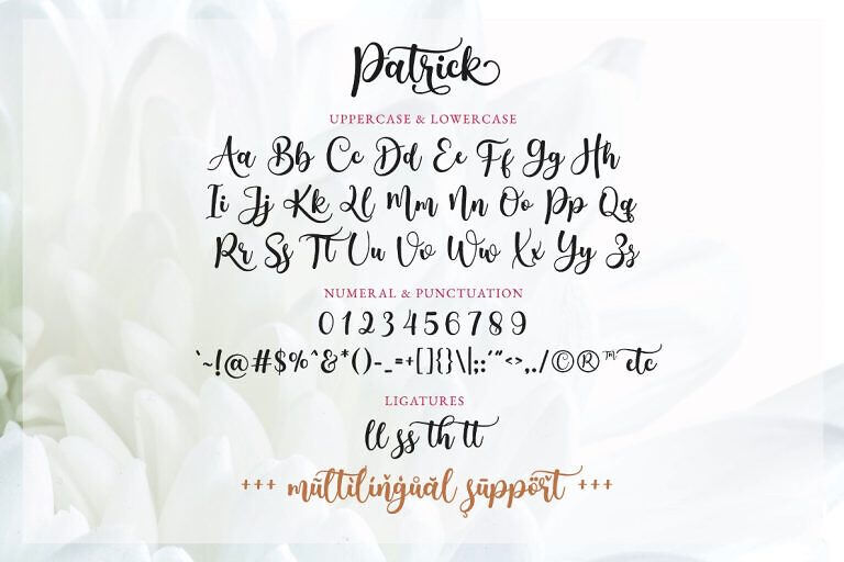 Patrick Airo Font
