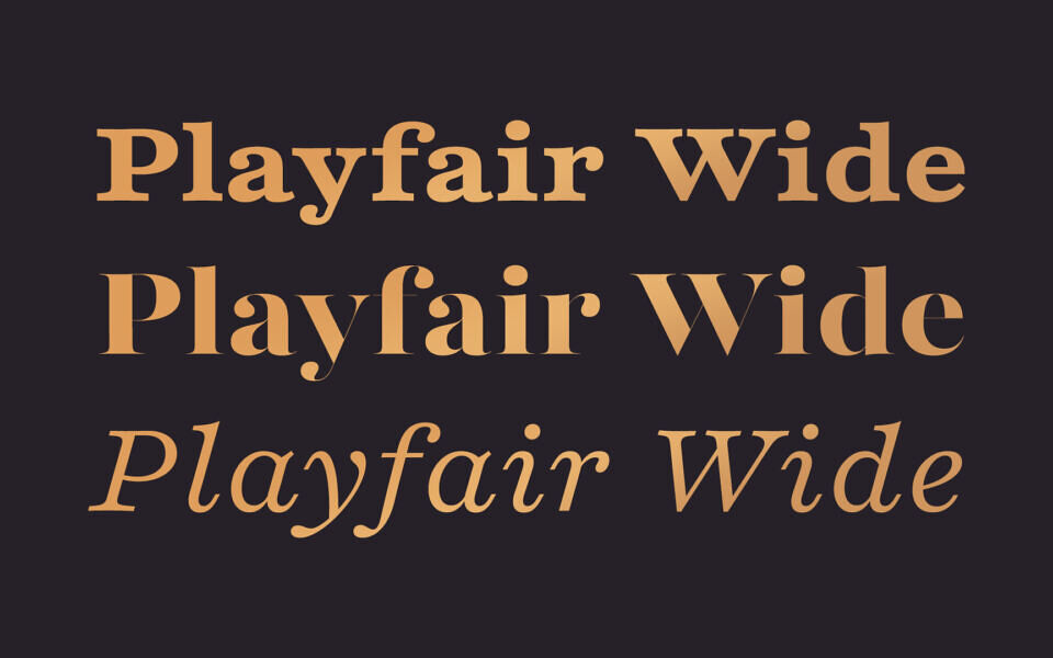 Playfair Font Family