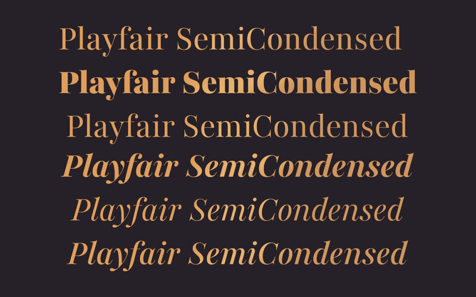 Playfair Font Family