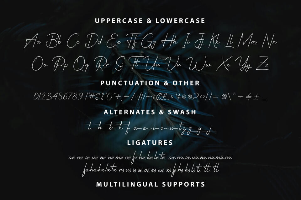 Rastery Signature Font