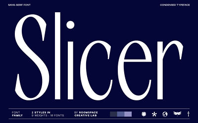 RCL Slicer Font
