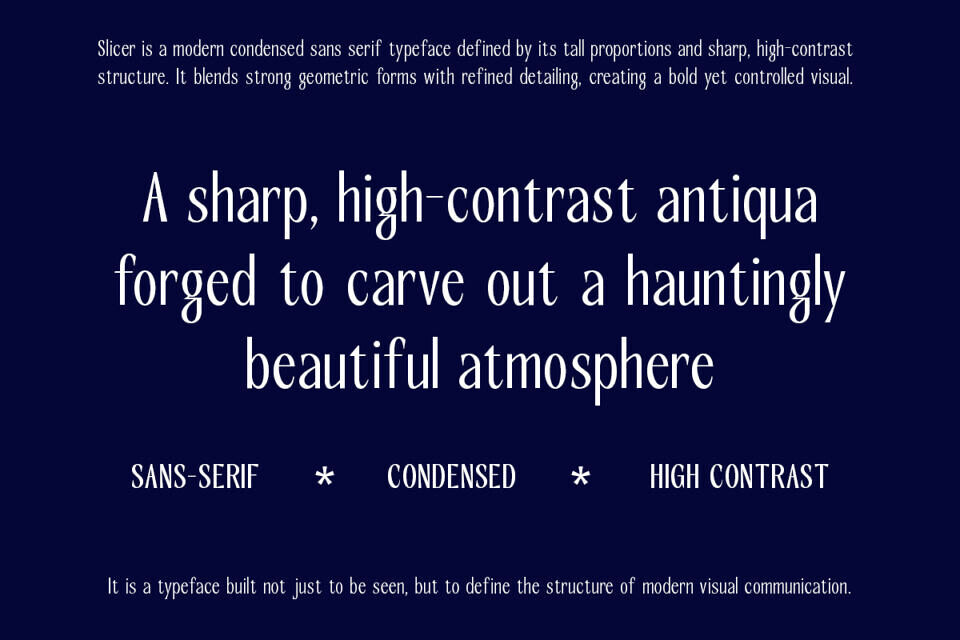 Rcl Slicer Font