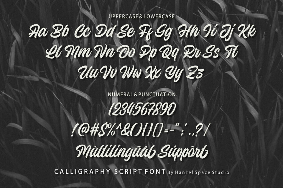 Wilzten Font