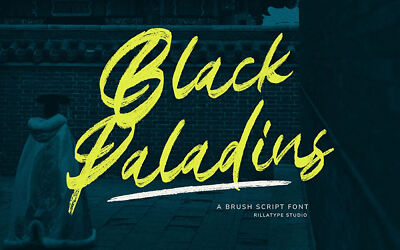 Black Paladins Font