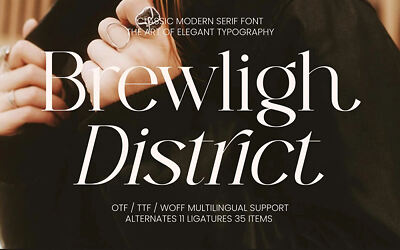 Brewligh District Font
