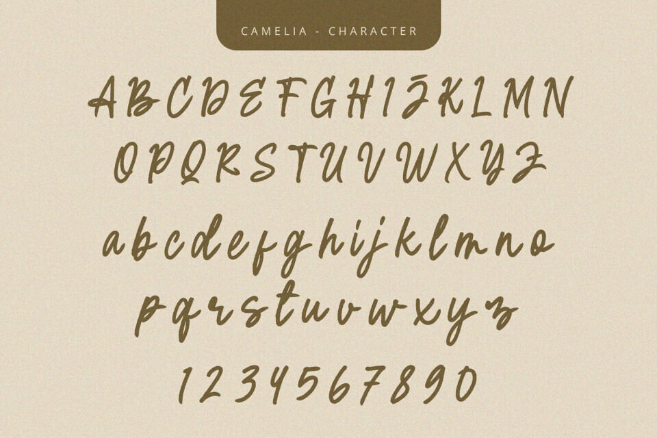 Camelia Font