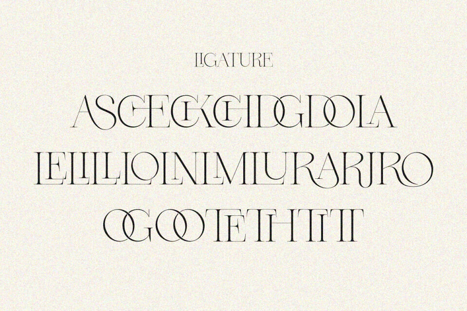Dary Font