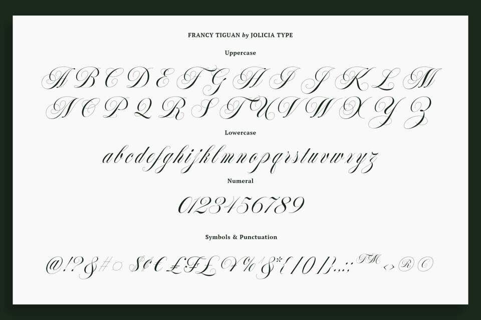 Francy Tiguan Font