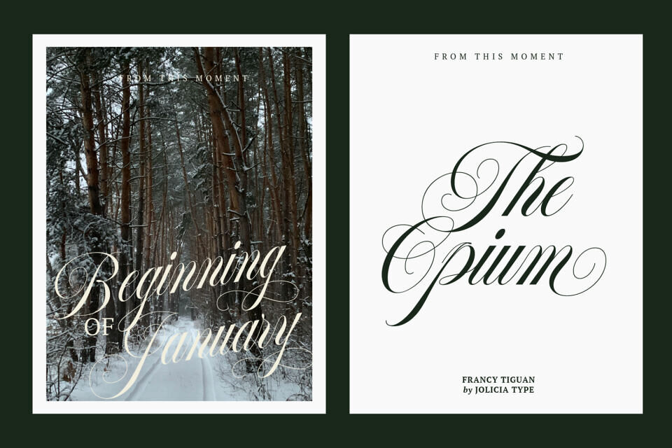 Francy Tiguan Font