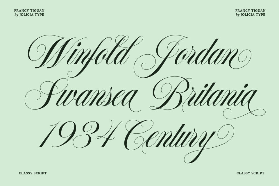 Francy Tiguan Font