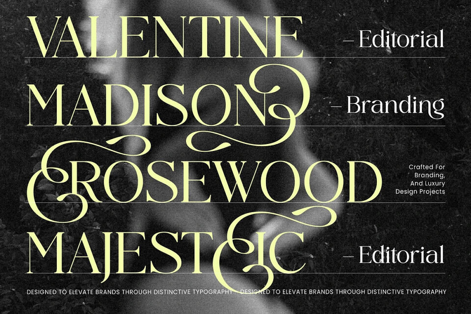 Midnight Cafe Society Font