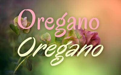 Oregano Font