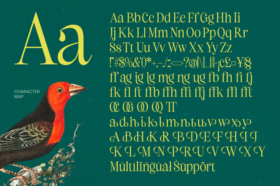 Refika Mughy Font
