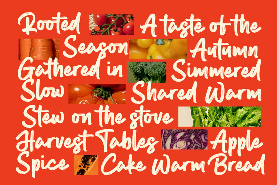 Roasted Brisket Font