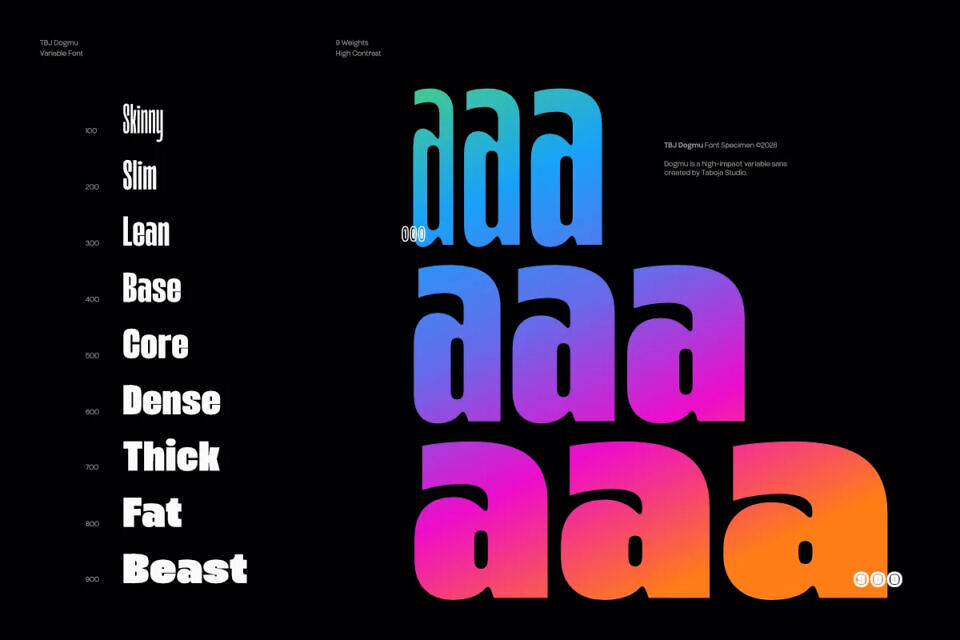 TBJ Dogmu Font Family