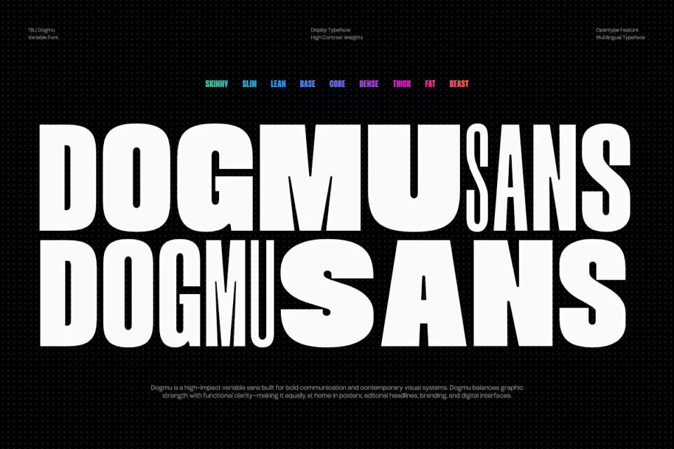 TBJ Dogmu Font Family