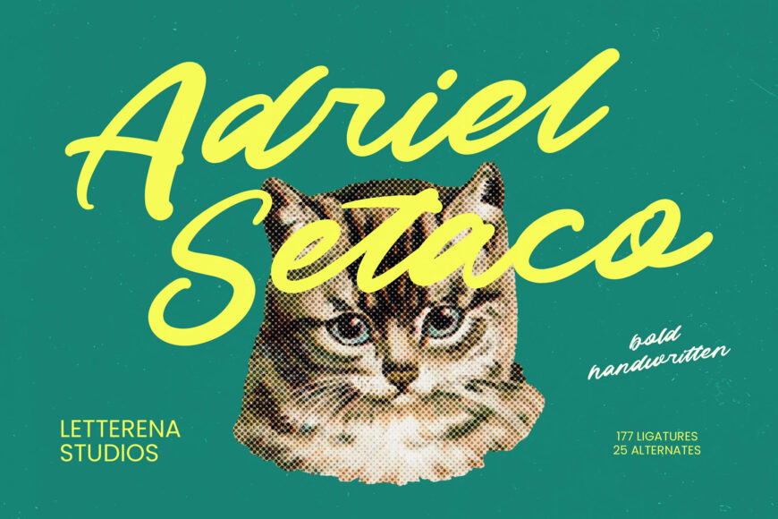 Adriel Setaco Font