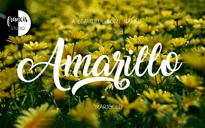 Amarillo Font