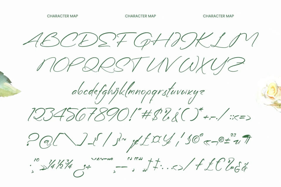 Diffe Rentys Font