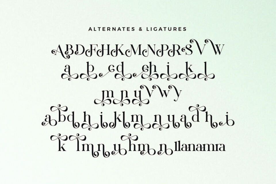 Mackin Font
