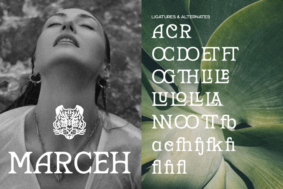 Marzena Font