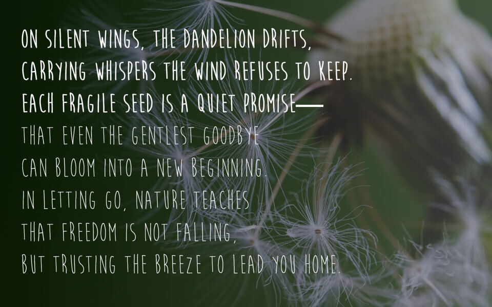 Moon Flower Font