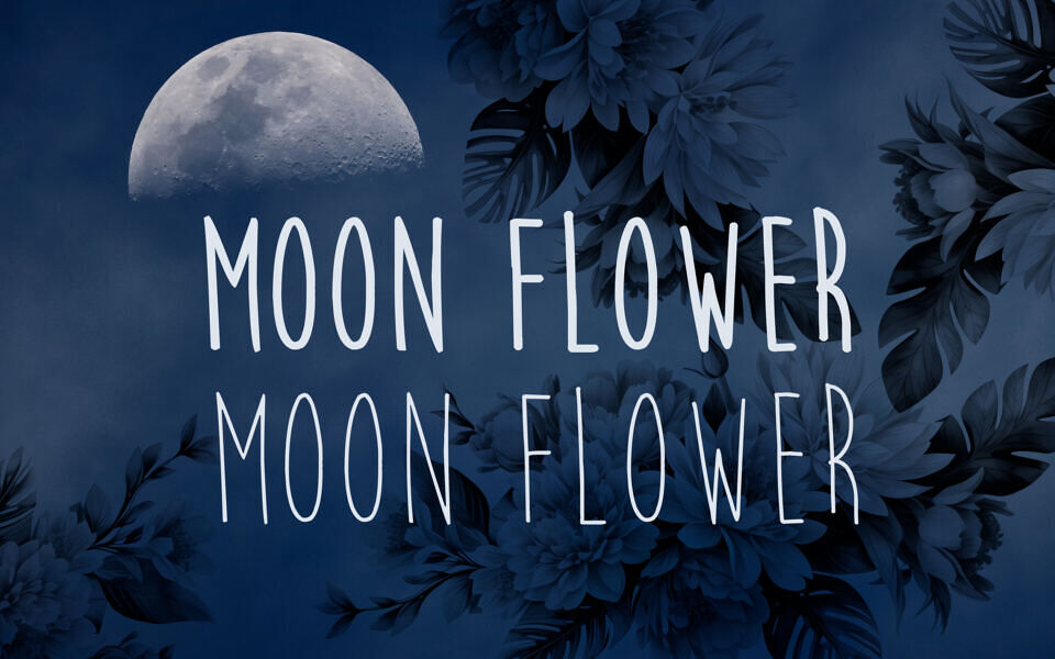Moon Flower Font