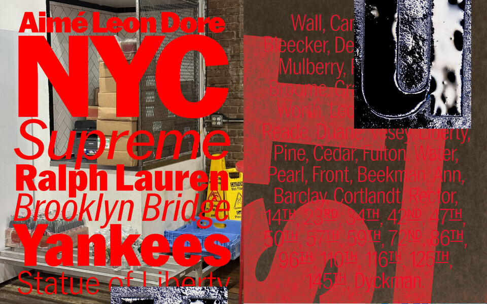 PP Neue York Font Family