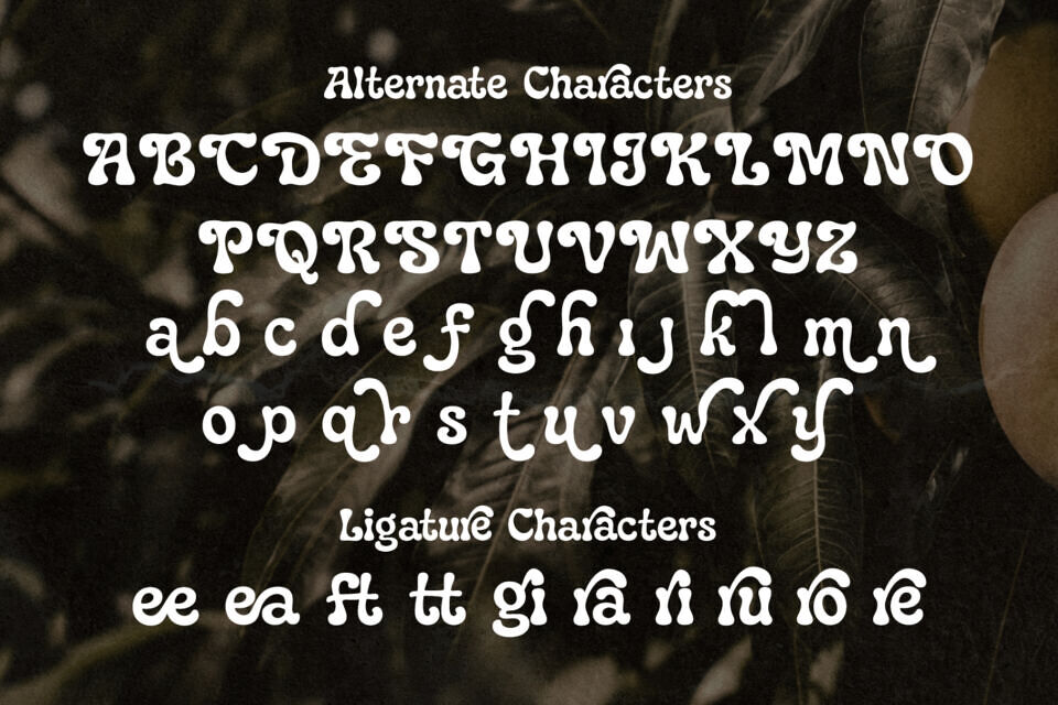 Paradisea Font