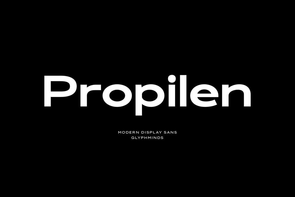 Propilen Font Family