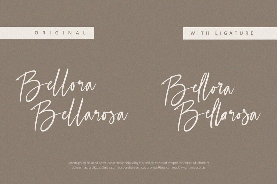 Selestia Signature Font