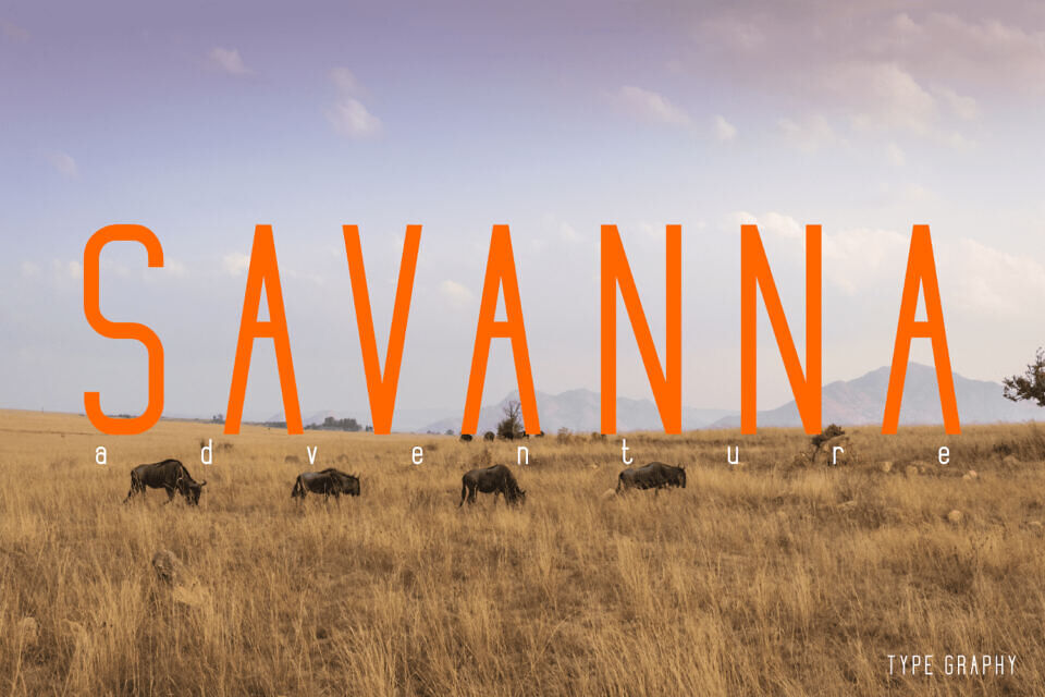 Skyline Font Family