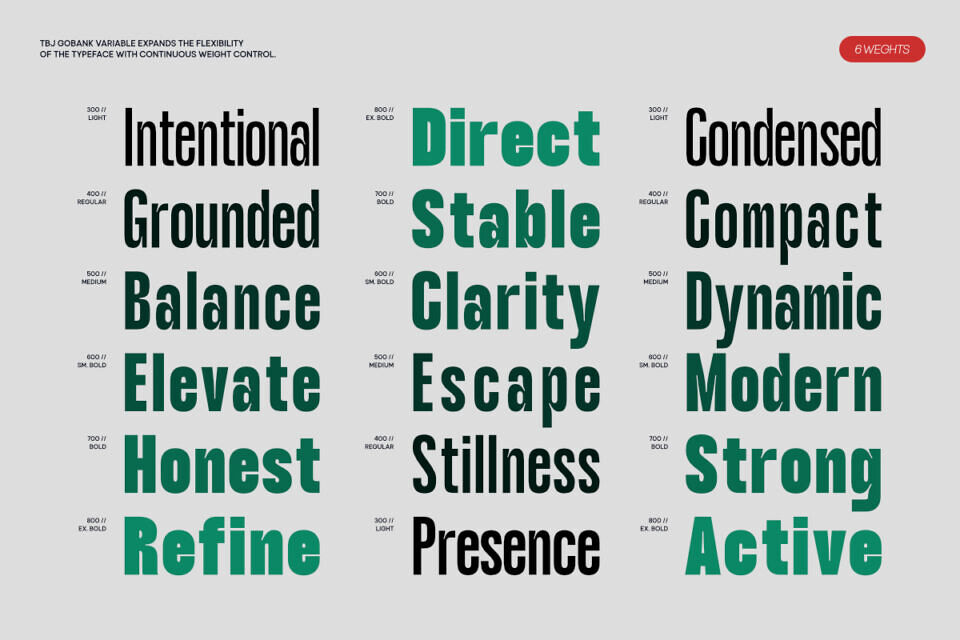 Tbj Gobank Sans Font Family