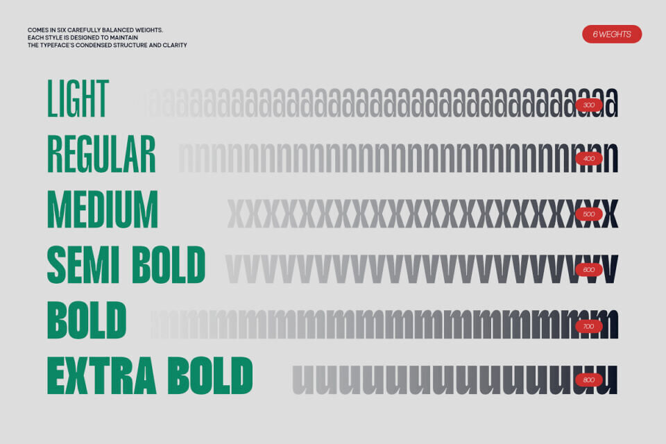 Tbj Gobank Sans Font Family