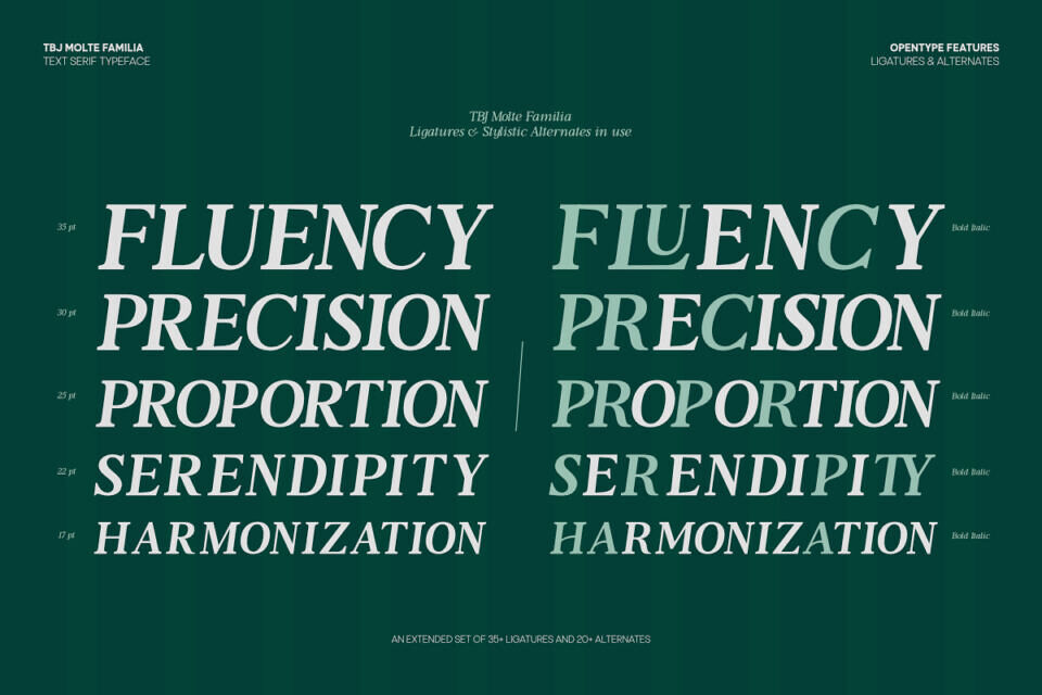 Tbj Moltefamilia Font Family