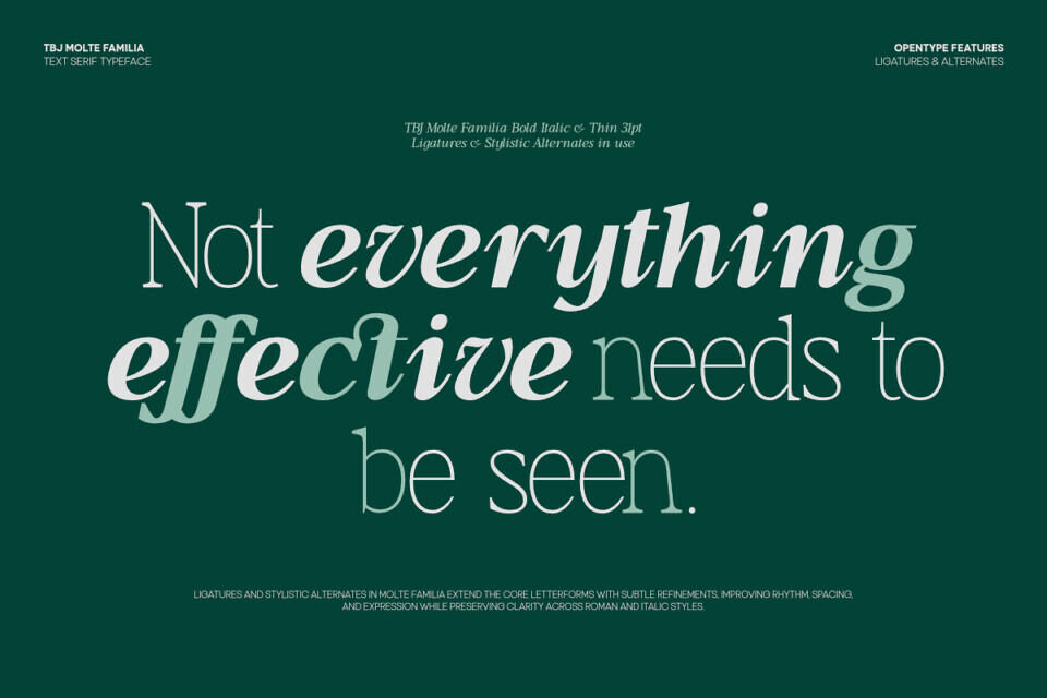 Tbj Moltefamilia Font Family