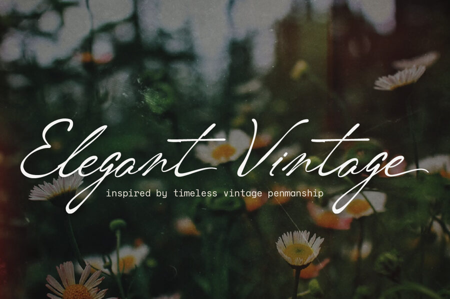 Vordelina Font
