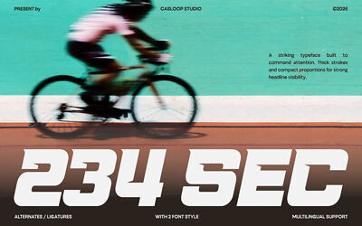 234 Sec Font
