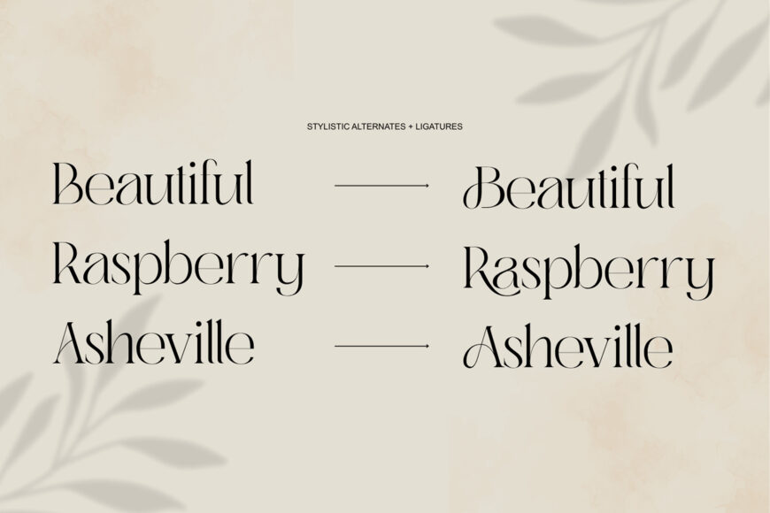 Abask Font