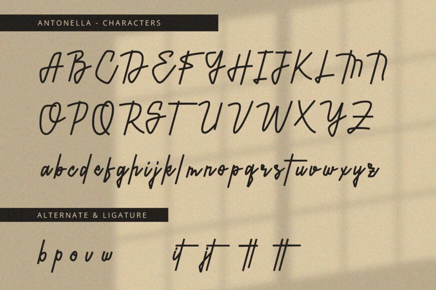 Antonella Font