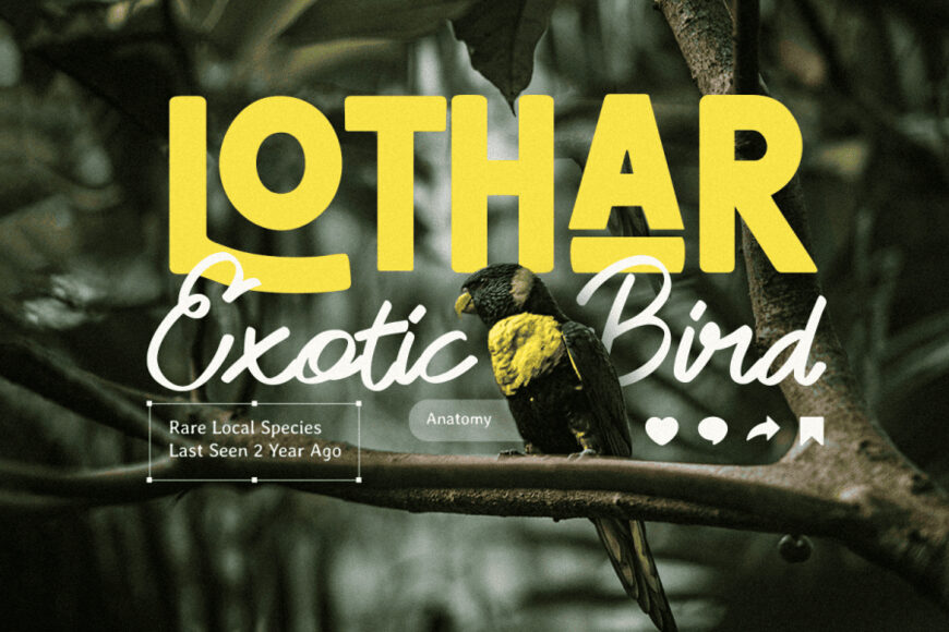 Forever Dreaming Font Duo